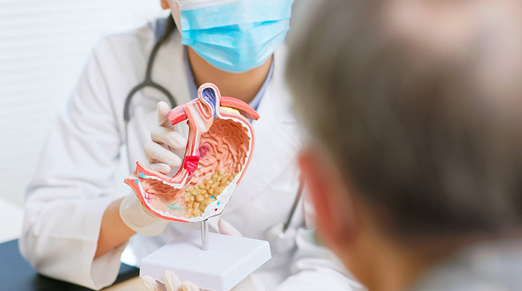 Singapore’s Finest Gastroenterologist: Your Path to Digestive Wellness